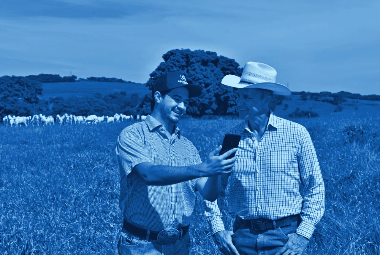 Dois homens sorriem enquanto consultam um smartphone no pasto, com gado Nelore ao fundo, em tons de azul